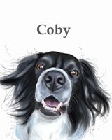 Pet portraits