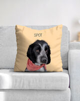 Pet portrait on a cushion