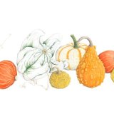Gourds