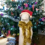 Otterly arrived at Christmas!