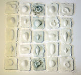 Mini Ammonite frame