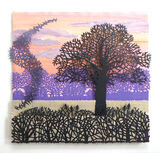 Murmuration of Starlings