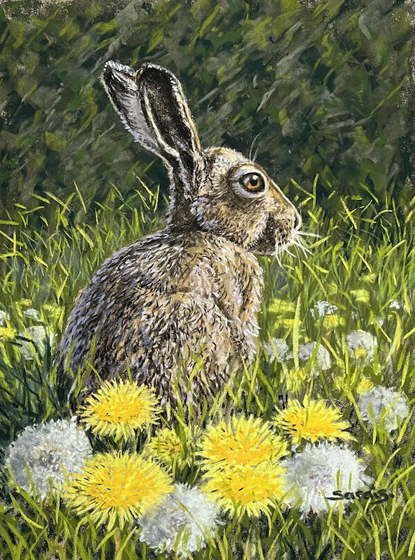 Dandelion Hare
