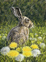 Dandelion Hare