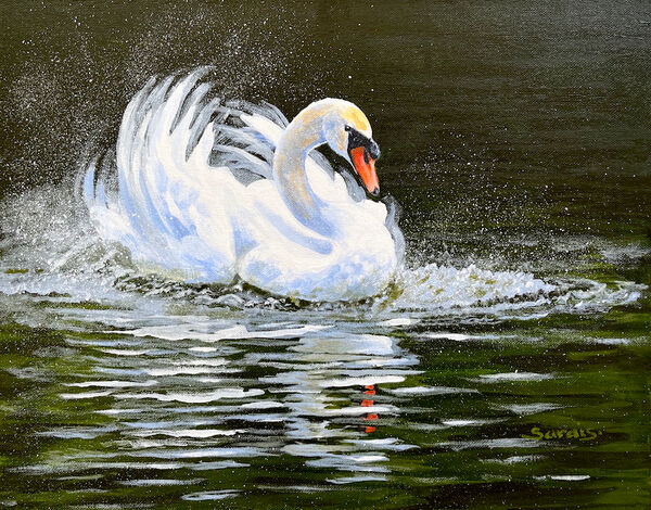 Making a Splash