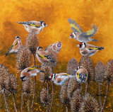British Wildlife