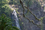 Moran's Falls, Lamington NP