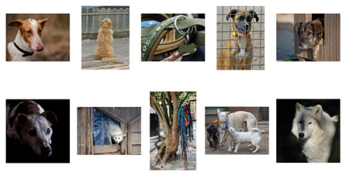 meine 10 Bilder/my final panel