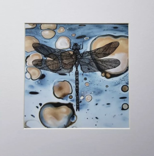 Fine Art Giclee Prints and Original Monoprints