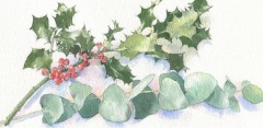 Holly & Eucalyptus SallyBarton_ChristmasCardIllustration_Holly_Eucalyptus