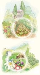 Created for 'Del Posto', B&B Hospitality Group, USA Watercolour_SallyBarton_LegendIllustration