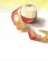 Apple Peel Watercolour_SallyBarton_ApplePeel