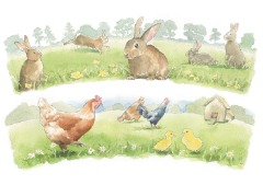 Waitrose illustrations for home wares sallybarton_watercolourillustration_Waitrose