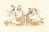 pet portrait_sally barton_cats_watercolourportrait