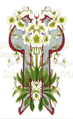 Christmas Rose