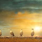 Stock Images - Waiting