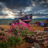 Stock Images - On the Beach