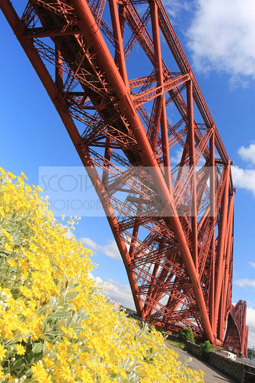 Forth Bridge