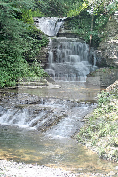 Robert H. Treman State Park