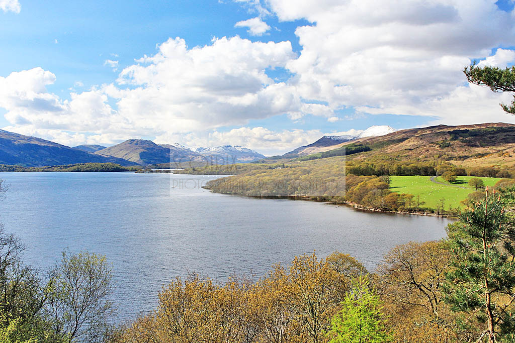 Ben Lomond