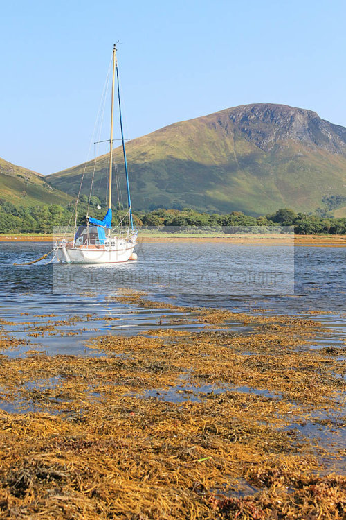 Lochranza, Isle of Arran
