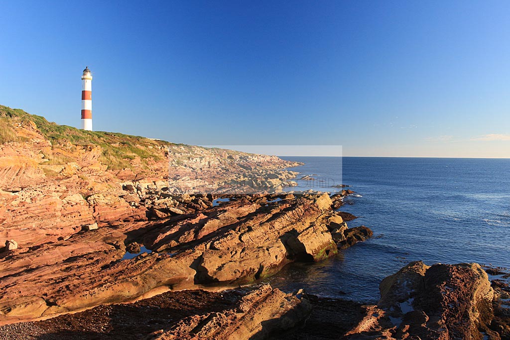Tarbatness