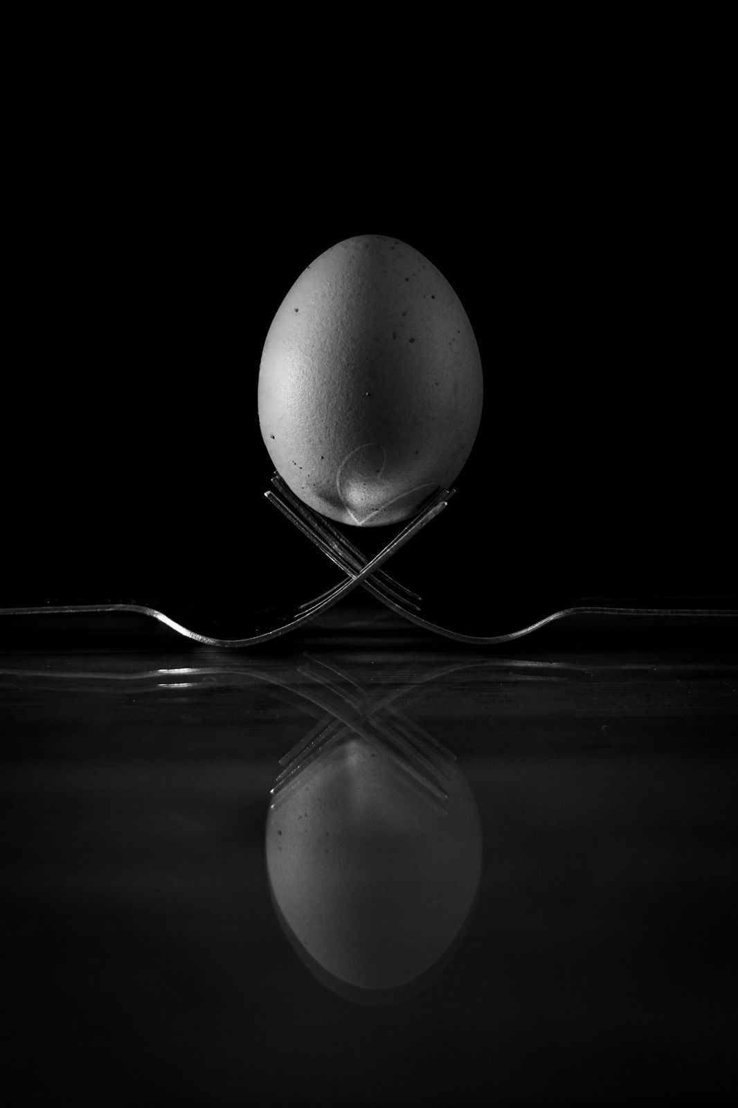 Egg