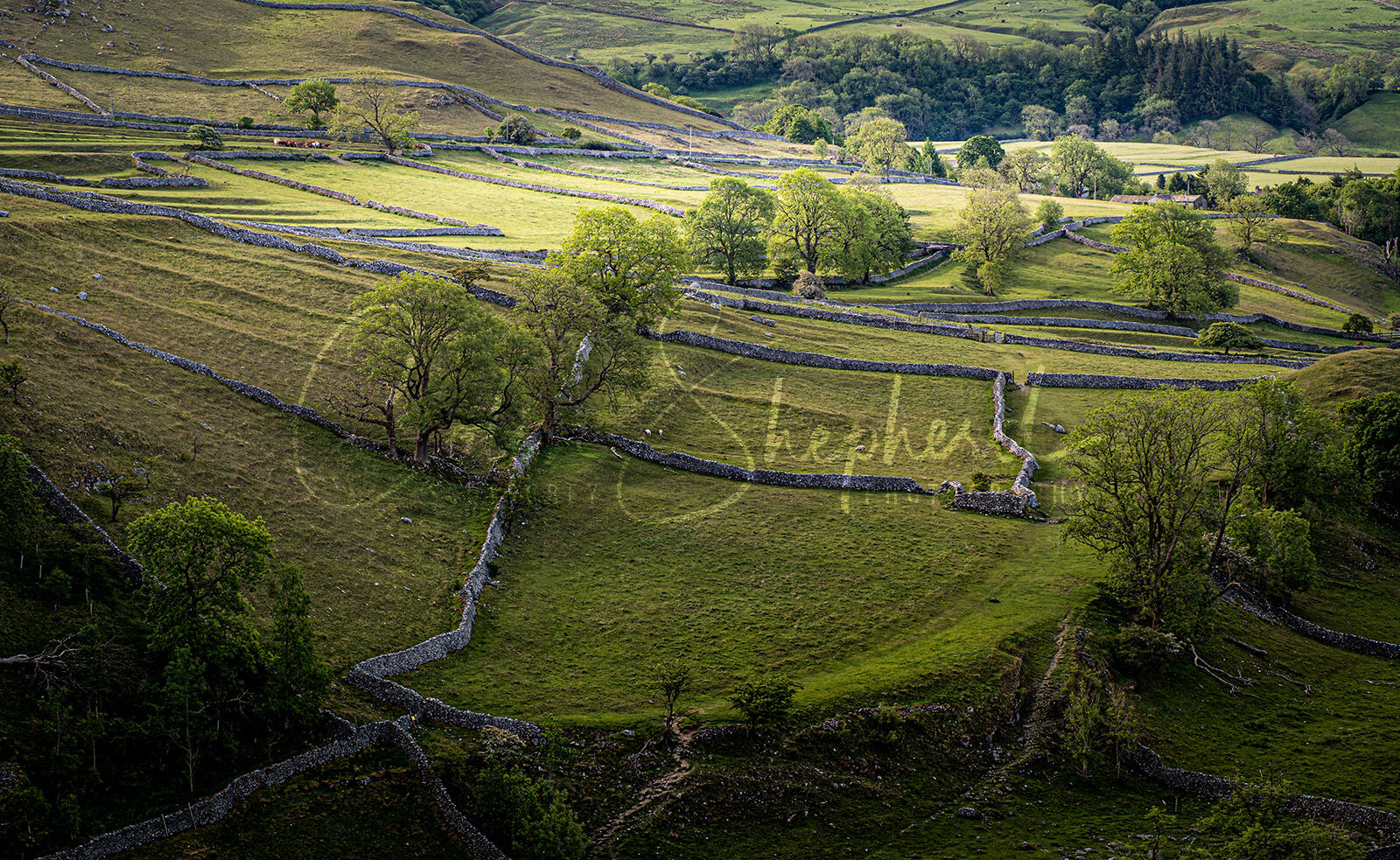 Yorkshire Dales National Park