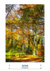 AUTUMN (41)