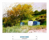 AUTUMN SANDS (9)