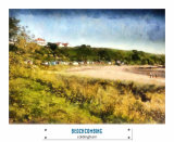 BEACHCOMBING (22)