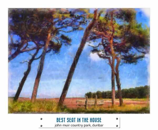 BEST SEAT IN THE HOUSE