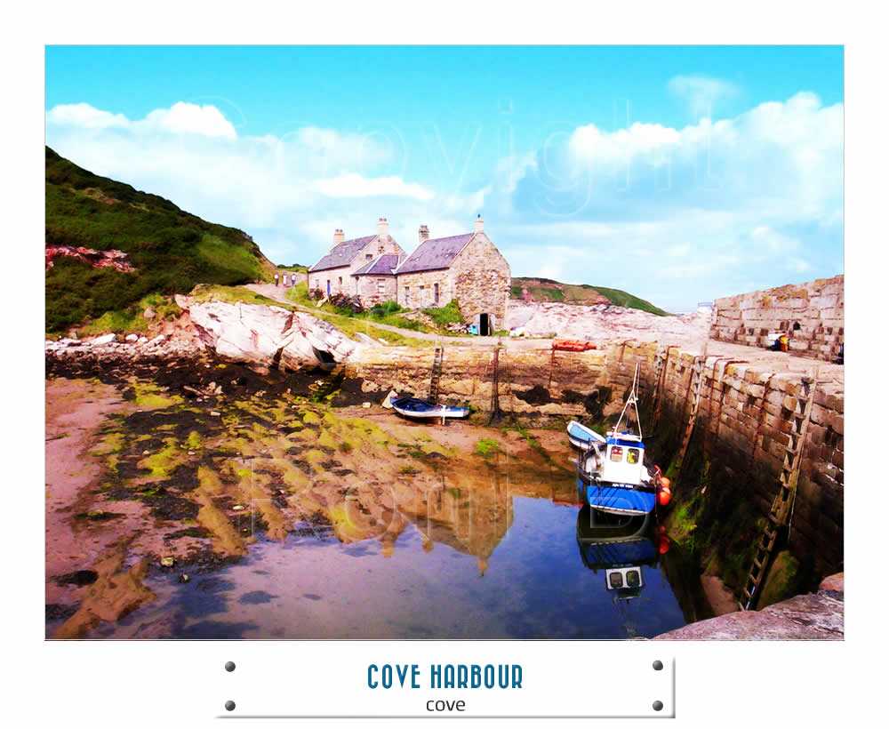 COVE HARBOUR