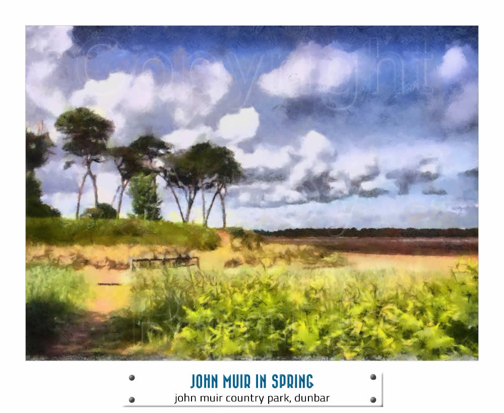 JOHN MUIR IN SPRING