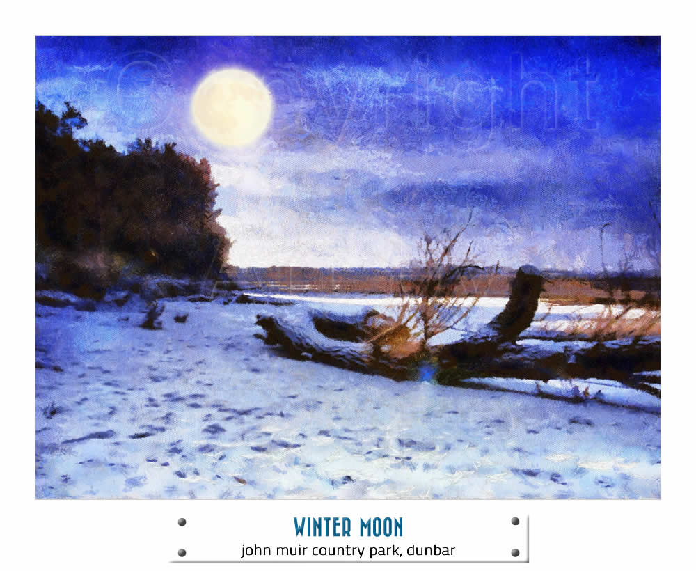 WINTER MOON