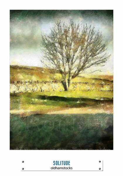 SOLITUDE