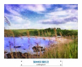 SUMMER BREEZE (28)
