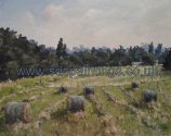 Hay Bales In Welches Meadow