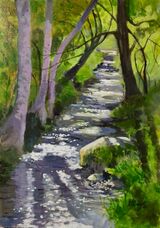 Dartmoor Stream