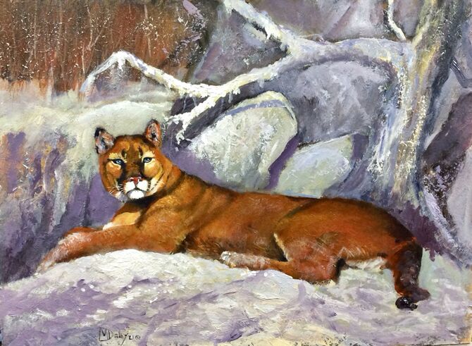 Puma, Cougar wildlife art