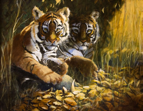 SOLD Tiger Cubs