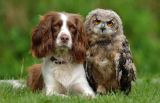 Best freinds