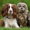 Best freinds
