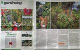 The Daily Telegraph on Saturday
