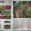 The Daily Telegraph on Saturday