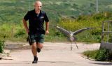 HERON TAKES FLYING LESSONS