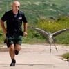 HERON TAKES FLYING LESSONS