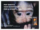 Newquay Zoo promo postcard