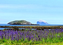 Gallery 2:  East Lothian and Berwickshire Coasts