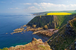 Cliffs South of Eyemouth